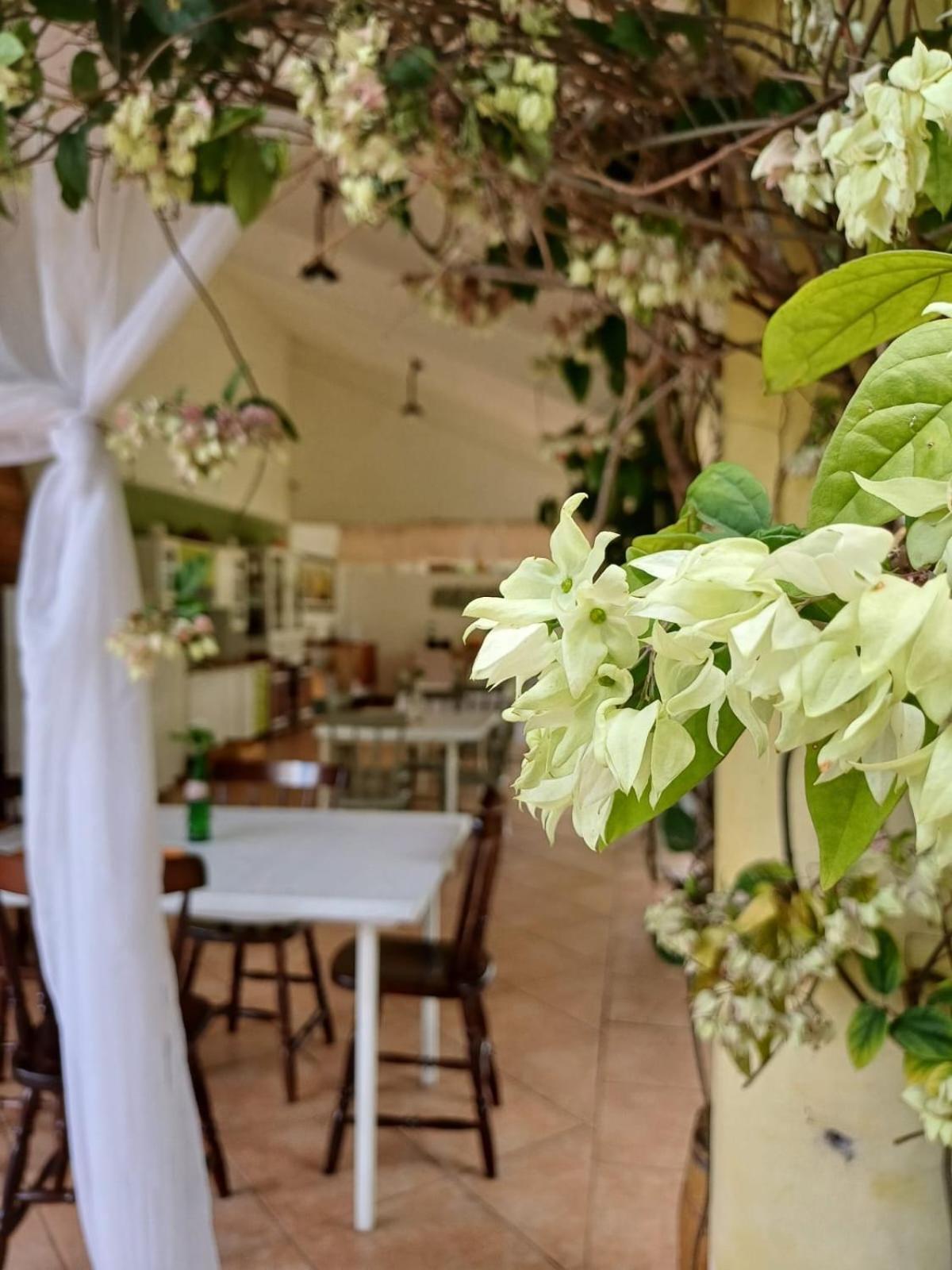 Chacara Rosa Cortiana Bed & Breakfast Sao Gabriel  Ngoại thất bức ảnh